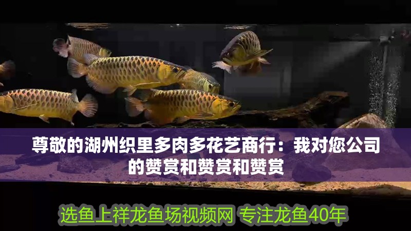 尊敬的湖州織里多肉多花藝商行：我對您公司的贊賞和贊賞和贊賞