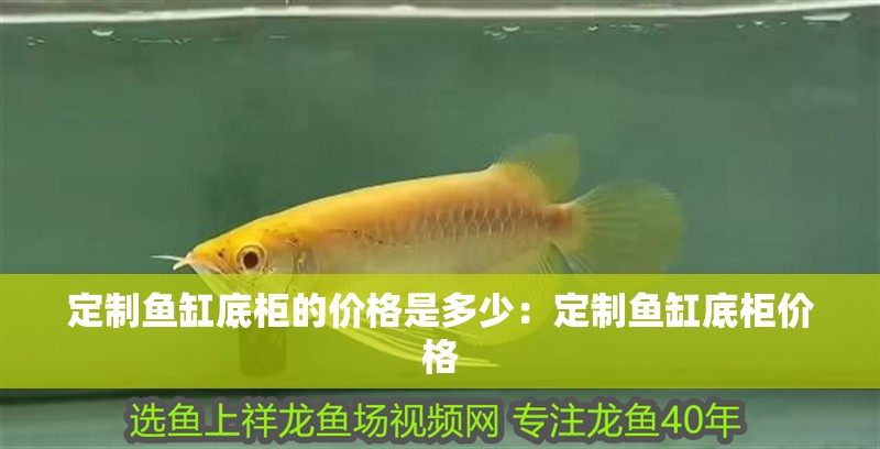 定制魚缸底柜的價格是多少：定制魚缸底柜價格
