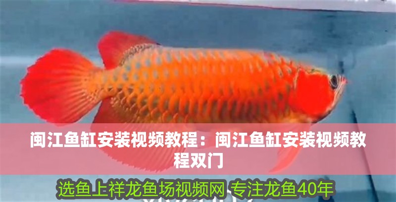 閩江魚缸安裝視頻教程：閩江魚缸安裝視頻教程雙門