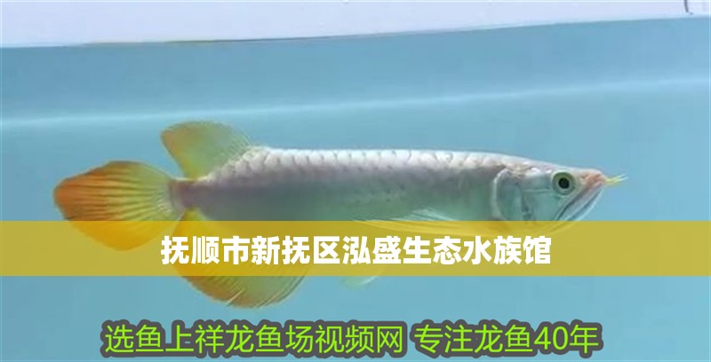 撫順市新撫區泓盛生態水族館
