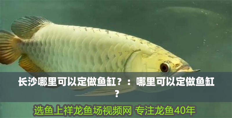 長沙哪里可以定做魚缸？：哪里可以定做魚缸？