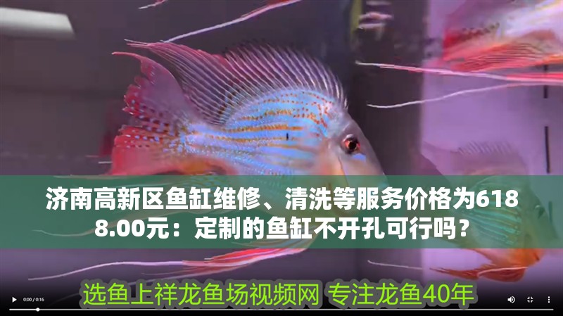 濟(jì)南高新區(qū)魚缸維修、清洗等服務(wù)價(jià)格為6188.00元：定制的魚缸不開孔可行嗎？ 濟(jì)南高新區(qū)魚缸維修、清洗等服務(wù)價(jià)格為6188.00元：定制的魚缸不開孔可行嗎？ 魚缸百科