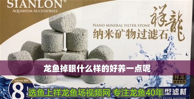 龍魚掉眼什么樣的好養(yǎng)一點(diǎn)呢