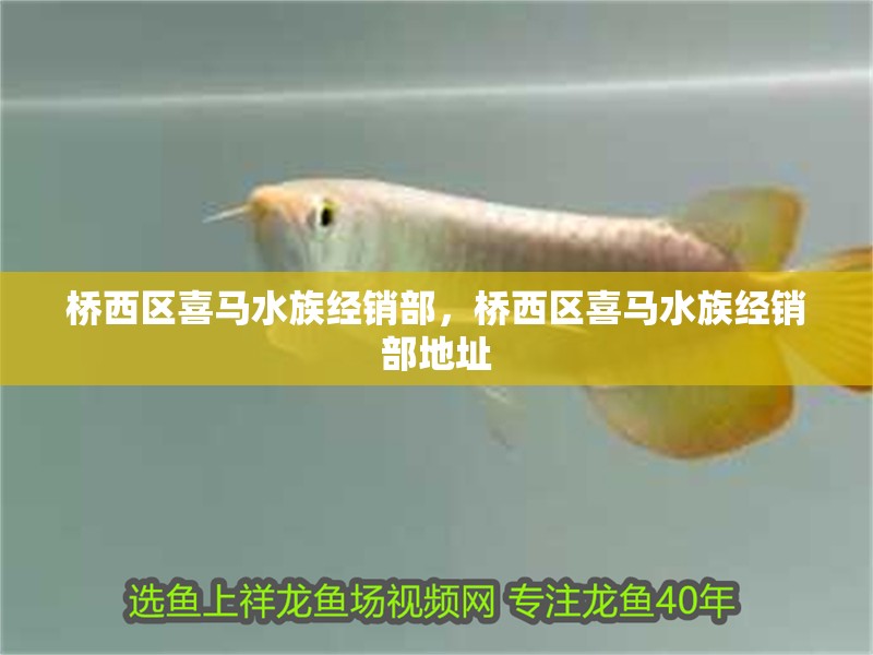 橋西區(qū)喜馬水族經(jīng)銷部，橋西區(qū)喜馬水族經(jīng)銷部地址