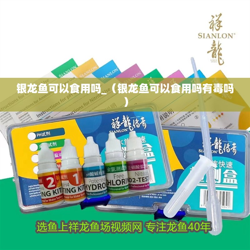 銀龍魚可以食用嗎_（銀龍魚可以食用嗎有毒嗎）