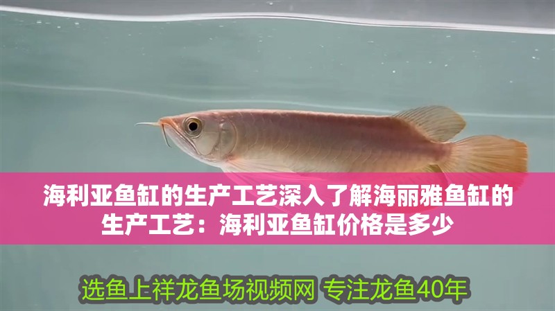 海利亞魚缸的生產工藝深入了解海麗雅魚缸的生產工藝：海利亞魚缸價格是多少