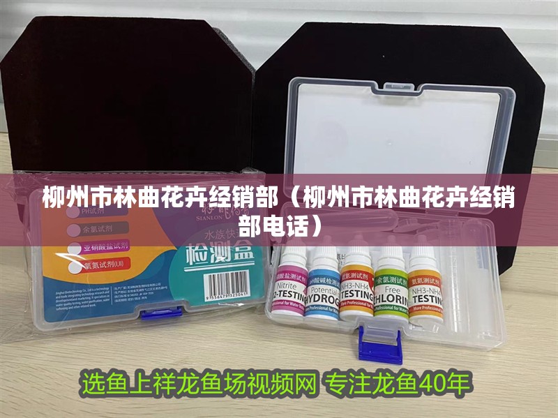 柳州市林曲花卉經銷部（柳州市林曲花卉經銷部電話）