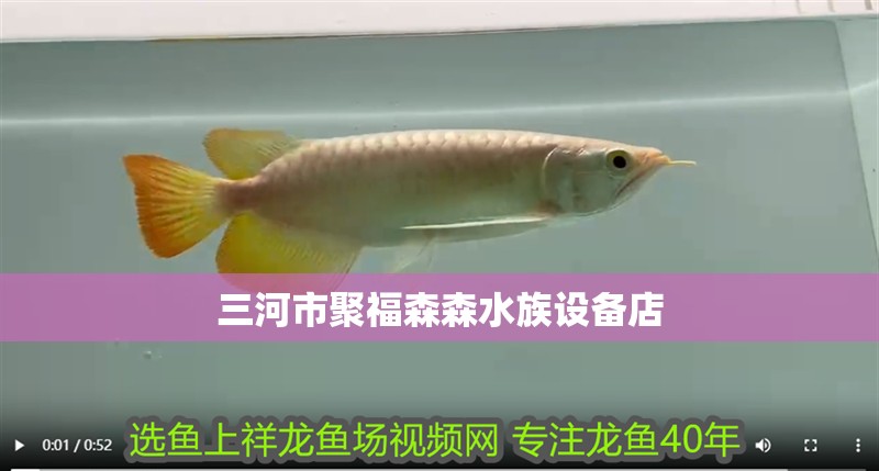 三河市聚福森森水族設備店 三河市聚福森森水族設備店 全國水族館企業名錄