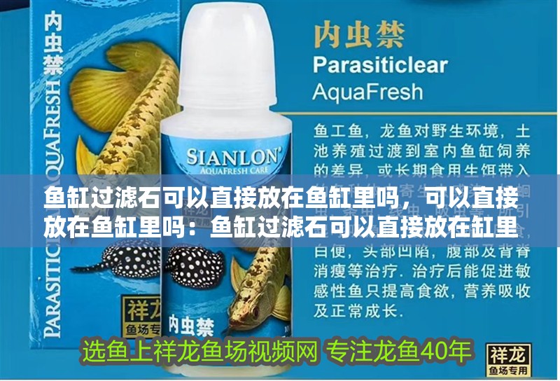 魚缸過濾石可以直接放在魚缸里嗎，可以直接放在魚缸里嗎：魚缸過濾石可以直接放在缸里嗎？