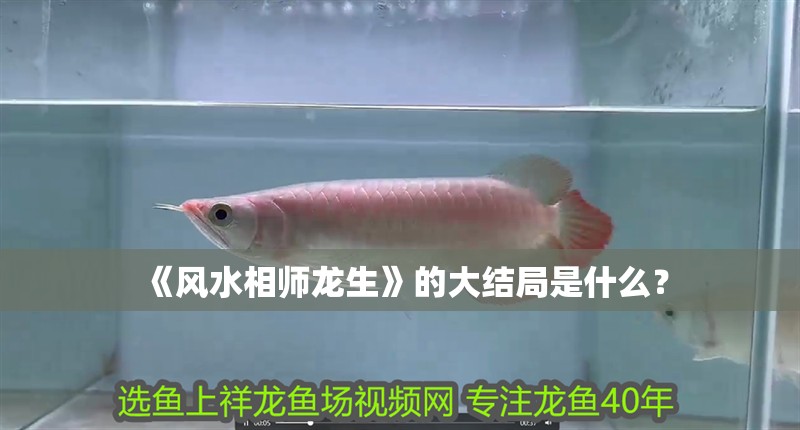 《風水相師龍生》的大結局是什么？