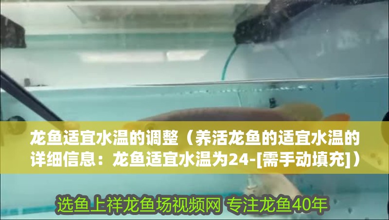龍魚適宜水溫的調整（養活龍魚的適宜水溫的詳細信息：龍魚適宜水溫為24-[需手動填充]）