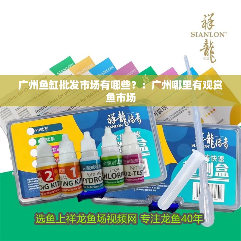 廣州魚缸批發市場有哪些？：廣州哪里有觀賞魚市場