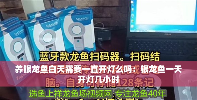 養銀龍魚白天需要一直開燈么嗎：銀龍魚一天開燈幾小時