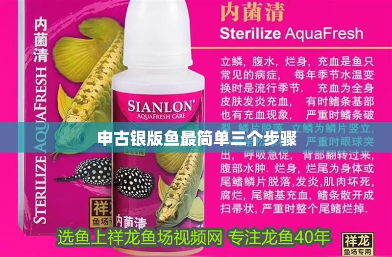 申古銀版魚最簡單三個步驟