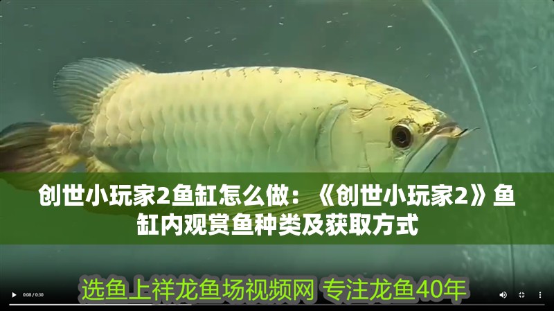 創世小玩家2魚缸怎么做：《創世小玩家2》魚缸內觀賞魚種類及獲取方式