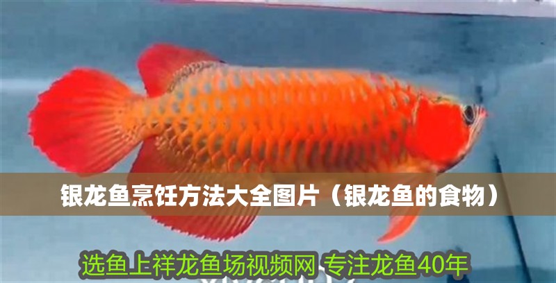 銀龍魚烹飪方法大全圖片（銀龍魚的食物）
