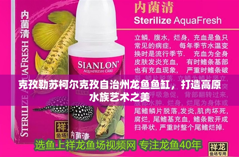 克孜勒蘇柯爾克孜自治州龍魚魚缸，打造高原水族藝術之美