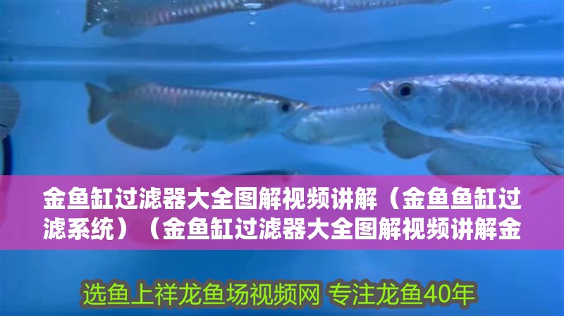 金魚缸過濾器大全圖解視頻講解（金魚魚缸過濾系統(tǒng)）（金魚缸過濾器大全圖解視頻講解金魚缸過濾器大全圖解視頻講解）