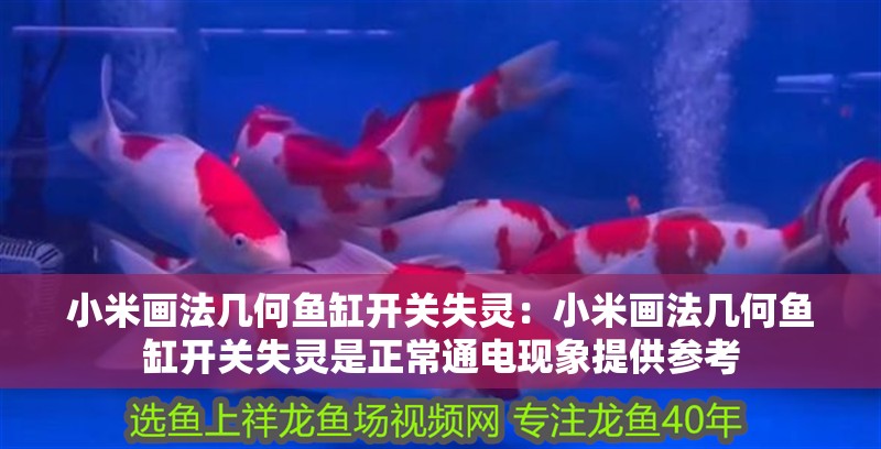 小米畫法幾何魚缸開關失靈：小米畫法幾何魚缸開關失靈是正常通電現象提供參考