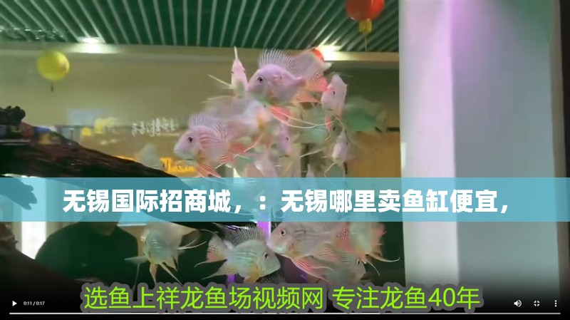 無錫國際招商城，：無錫哪里賣魚缸便宜，
