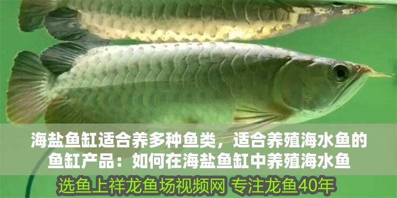 海鹽魚缸適合養多種魚類，適合養殖海水魚的魚缸產品：如何在海鹽魚缸中養殖海水魚 海鹽魚缸適合養多種魚類，適合養殖海水魚的魚缸產品：如何在海鹽魚缸中養殖海水魚 魚缸百科
