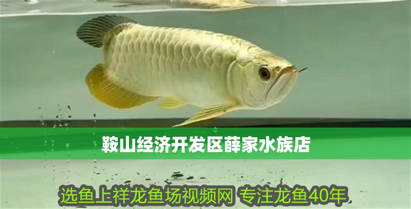 鞍山經濟開發區薛家水族店