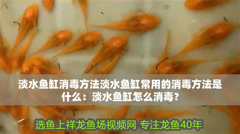 淡水魚缸消毒方法淡水魚缸常用的消毒方法是什么：淡水魚缸怎么消毒？