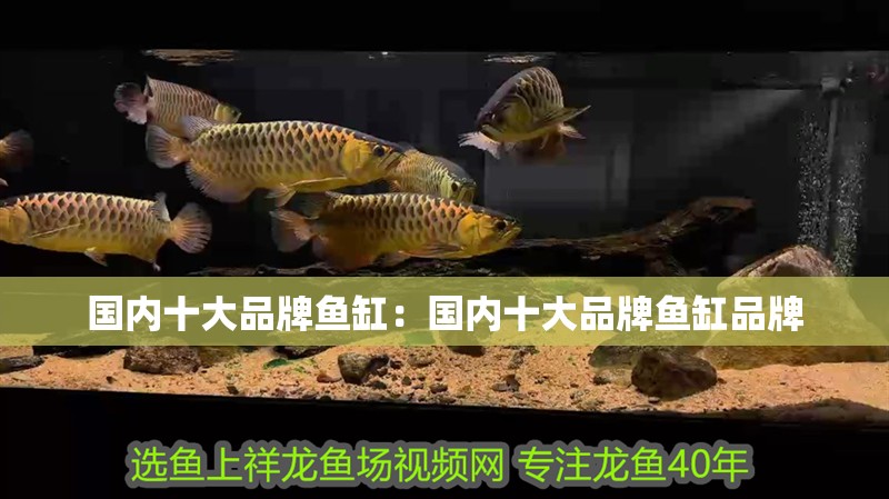 國內十大品牌魚缸：國內十大品牌魚缸品牌