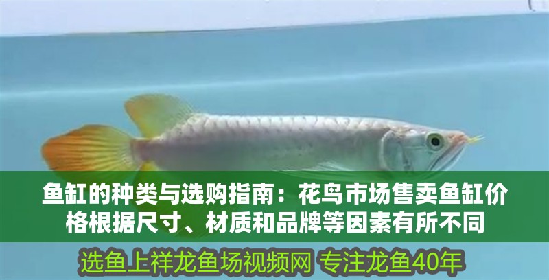 魚缸的種類與選購指南：花鳥市場售賣魚缸價格根據尺寸、材質和品牌等因素有所不同