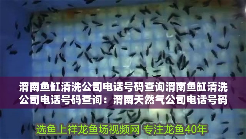 渭南魚缸清洗公司電話號碼查詢渭南魚缸清洗公司電話號碼查詢：渭南天然氣公司電話號碼查詢