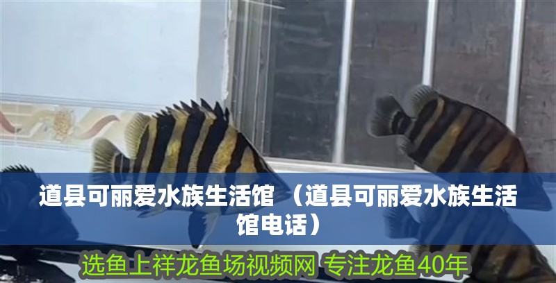道縣可麗愛(ài)水族生活館 （道縣可麗愛(ài)水族生活館電話）