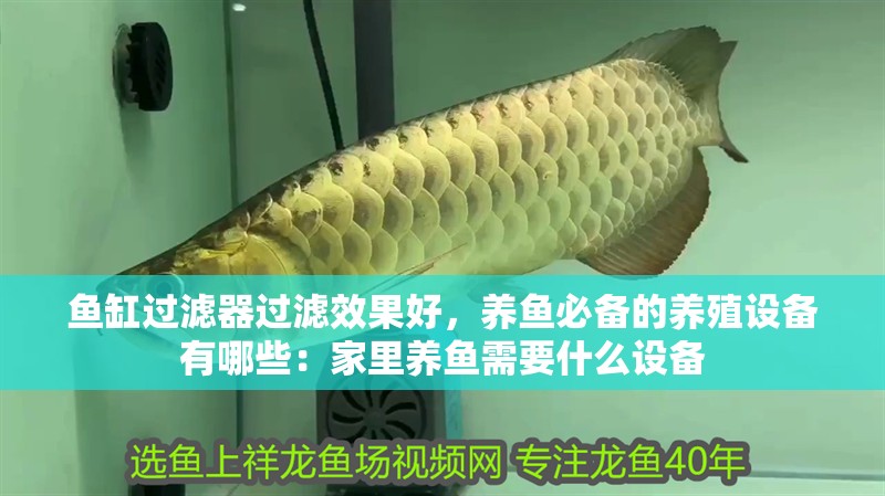 魚缸過濾器過濾效果好，養魚必備的養殖設備有哪些：家里養魚需要什么設備