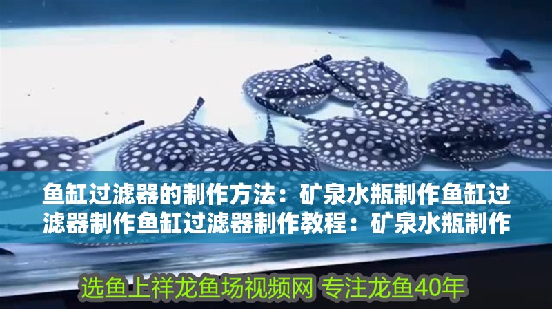 魚缸過濾器的制作方法：礦泉水瓶制作魚缸過濾器制作魚缸過濾器制作教程：礦泉水瓶制作