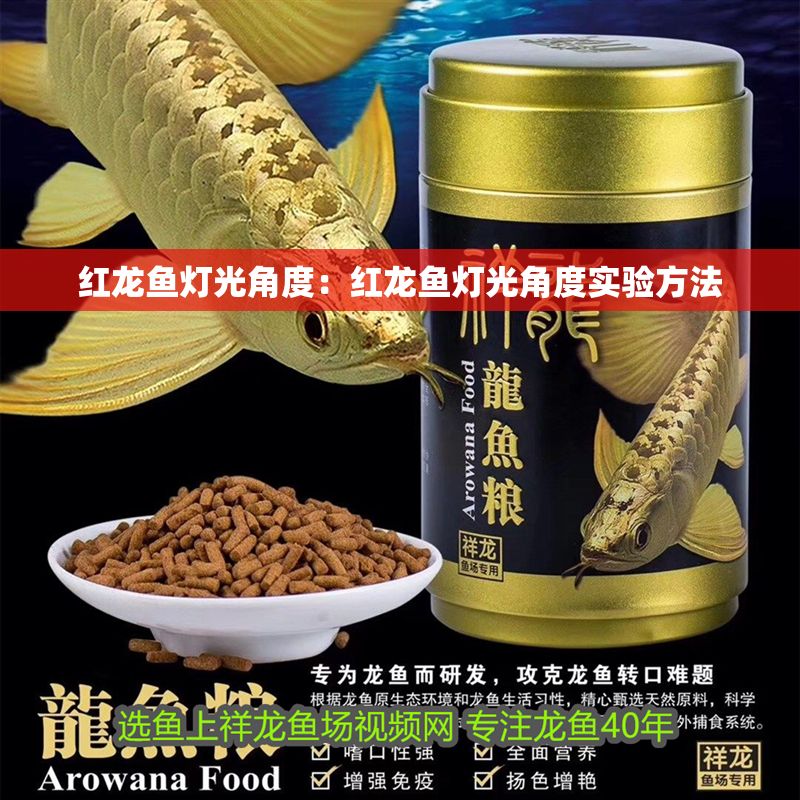 紅龍魚燈光角度：紅龍魚燈光角度實驗方法