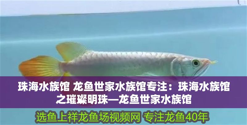 珠海水族館 龍魚(yú)世家水族館專(zhuān)注：珠海水族館之璀璨明珠—龍魚(yú)世家水族館