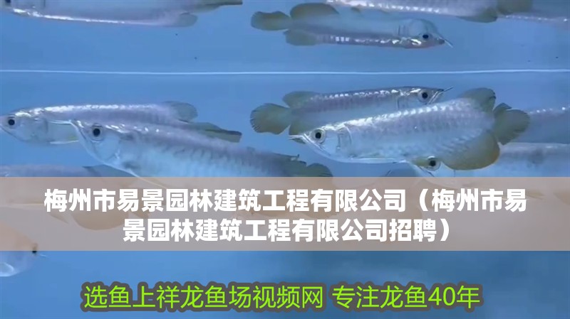 梅州市易景園林建筑工程有限公司（梅州市易景園林建筑工程有限公司招聘）