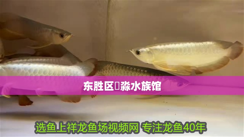 東勝區鱻淼水族館