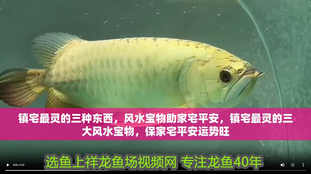 鎮宅最靈的三種東西，風水寶物助家宅平安，鎮宅最靈的三大風水寶物，保家宅平安運勢旺