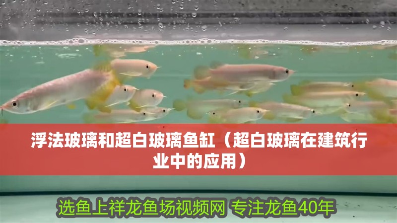 浮法玻璃和超白玻璃魚缸（超白玻璃在建筑行業中的應用）