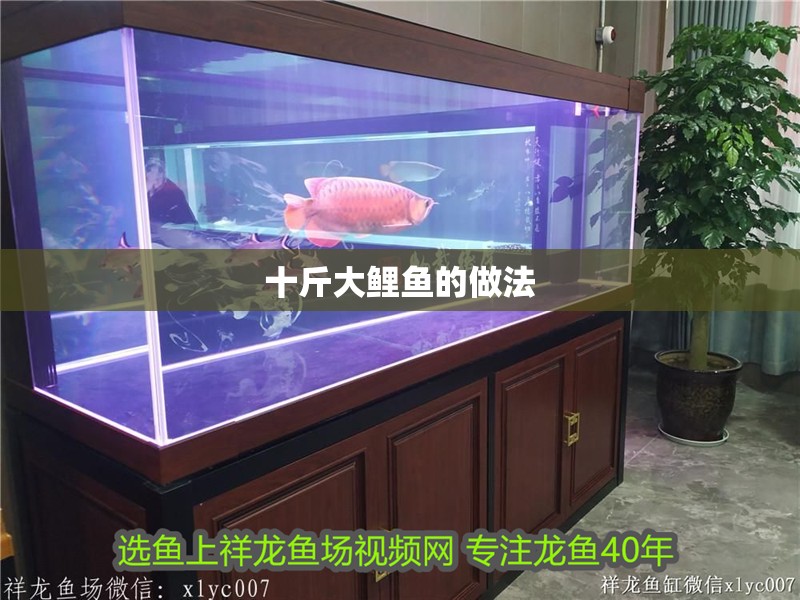 十斤大鯉魚的做法