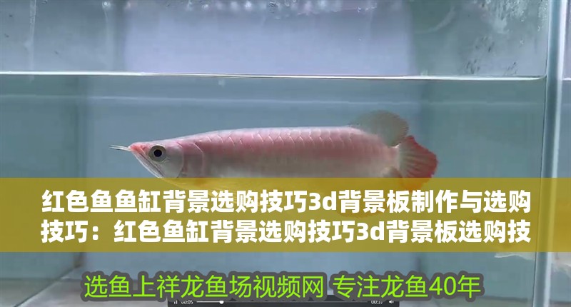 紅色魚魚缸背景選購技巧3d背景板制作與選購技巧：紅色魚缸背景選購技巧3d背景板選購技巧