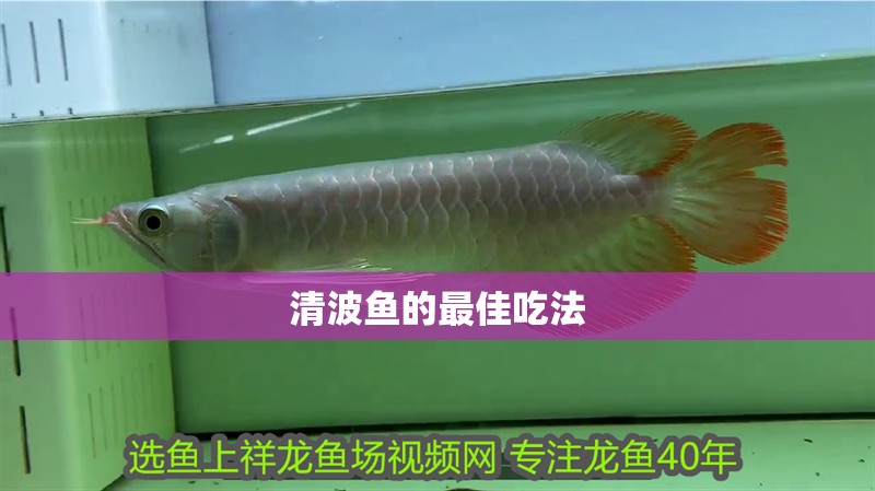 清波魚的最佳吃法