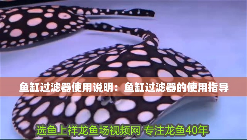我的虎魚真菌感染了要怎么處理 魚缸過濾器使用說明:魚缸過濾器的使用指導 魚缸百科 魚缸過濾器使用說明:魚缸過濾器的使用指導 魚缸過濾器使用說明:魚缸過濾器的使用指導 魚缸百科