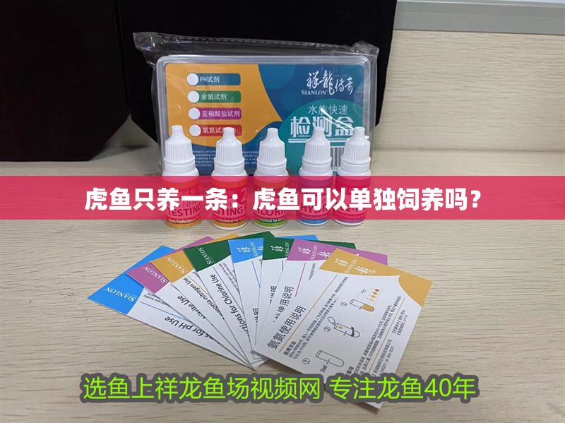 虎魚只養一條：虎魚可以單獨飼養嗎？