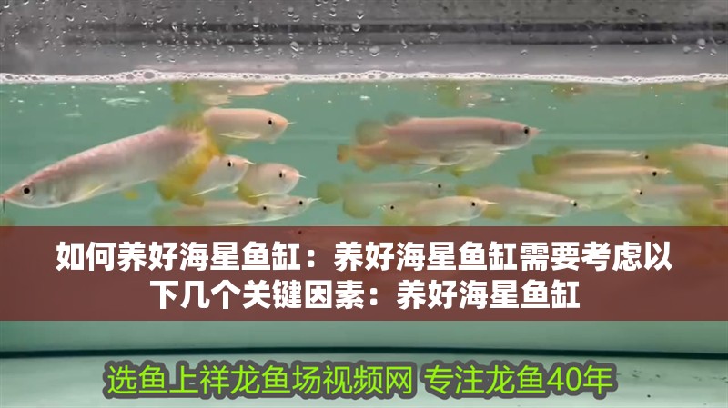 如何養好海星魚缸：養好海星魚缸需要考慮以下幾個關鍵因素：養好海星魚缸