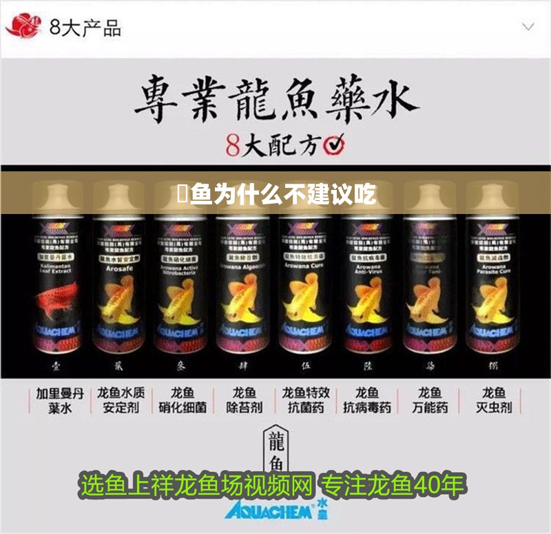 鳡魚為什么不建議吃