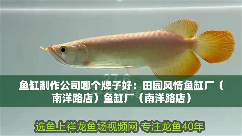 魚缸制作公司哪個牌子好：田園風情魚缸廠（南洋路店）魚缸廠（南洋路店）