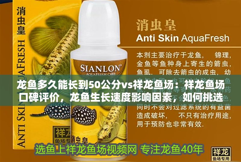 龍魚多久能長到50公分vs祥龍魚場：祥龍魚場口碑評價，龍魚生長速度影響因素，如何挑選優(yōu)質(zhì)龍魚