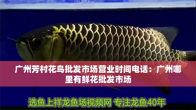 廣州芳村花鳥批發市場營業時間電話：廣州哪里有鮮花批發市場