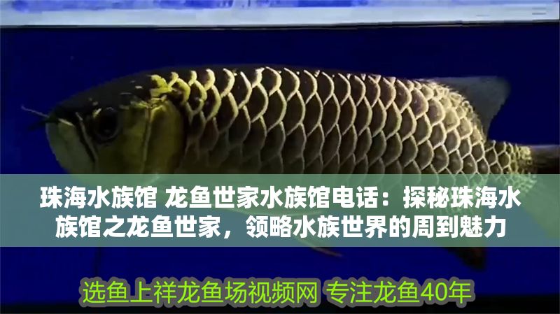 珠海水族館 龍魚(yú)世家水族館電話(huà)：探秘珠海水族館之龍魚(yú)世家，領(lǐng)略水族世界的周到魅力
